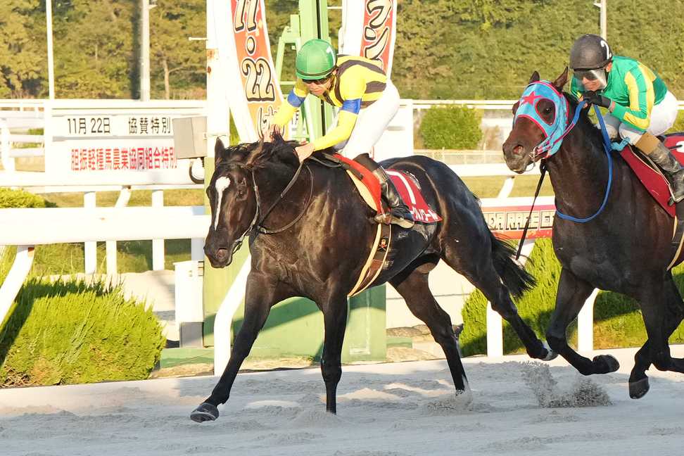 【不来方賞2024特集】サトノフェニックス「未知な部分も多いが、楽しみ」サンライズジパング「長めの距離も合う」