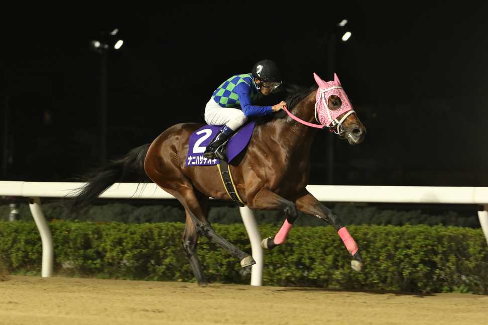 【埼玉新聞栄冠賞】ナニハサテオキが2馬身半差をつけ重賞2勝目