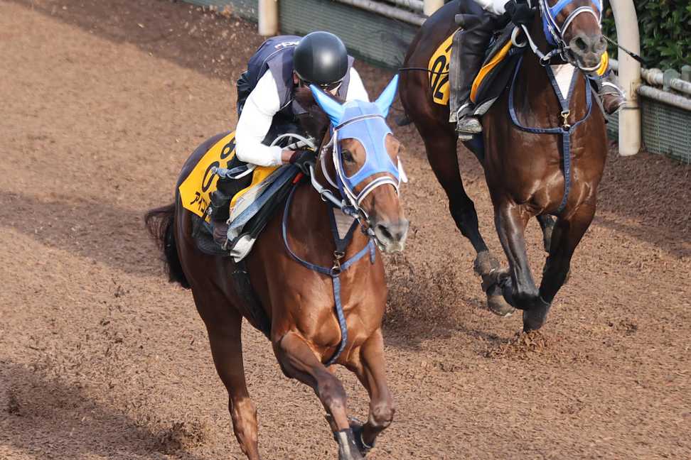 【JBCレディスクラシック】アイコンテーラー2馬身先着　伸び鋭くラスト11秒8