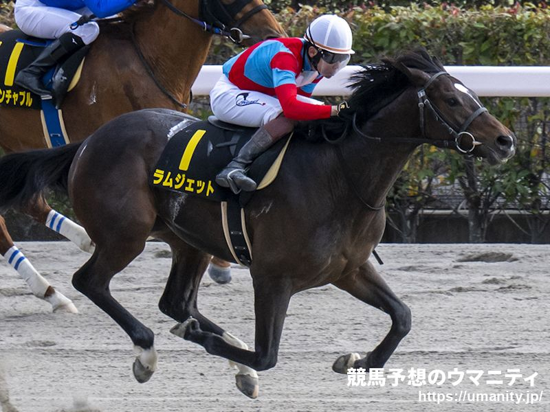 【大井・東京ダービー2024】選定馬（5/20）