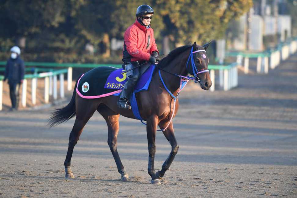 【帝王賞】ウィルソンテソーロ砂の頂点へ！　相性抜群の川田将雅騎手と再コンビ