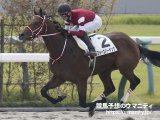 【全日本2歳優駿】JRA出走予定馬（11/29）