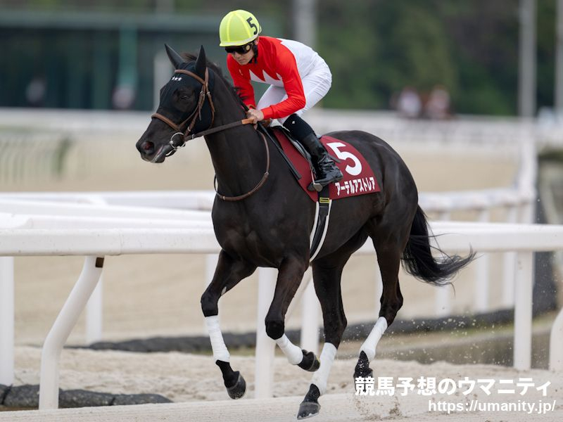 【大井・レディスプレリュード2024】アーテルアストレアは7枠7番、グランブリッジが3枠3番から発走