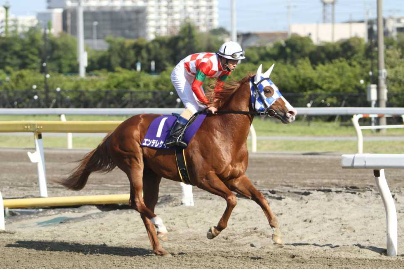 【船橋・習志野きらっとスプリント2024】地方ランク1位 夢月の選ぶ3頭「不利があり負けて強し！追い切りも前走以上」