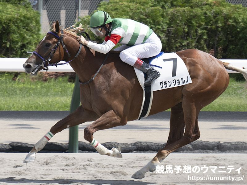 【川崎・全日本2歳優駿2024】血統アナリシス　Deputy Ministerの血を引く馬が3連覇中、フジキセキ内包馬も上位争いが続く