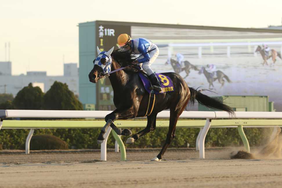 【羽田盃】ヒーローコール最後の地方馬同士の激闘制して１冠奪取だ