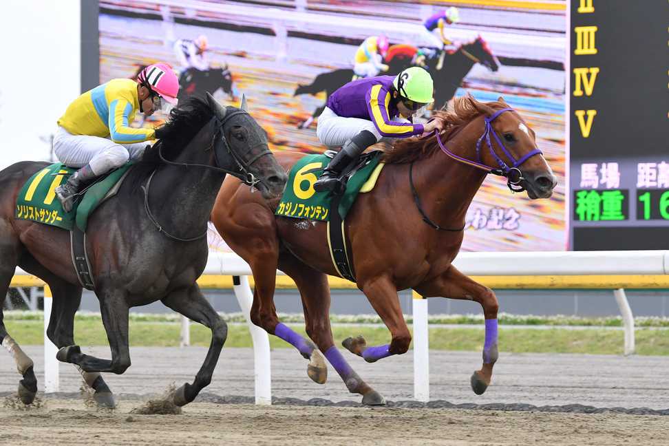 カジノフォンテンが根岸Ｓ参戦へ　２０２１年にＪｐｎⅠ２勝