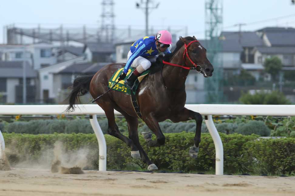 【鎌倉記念】南関２歳の大物アムクラージュ４連勝で全日本２歳優駿へ