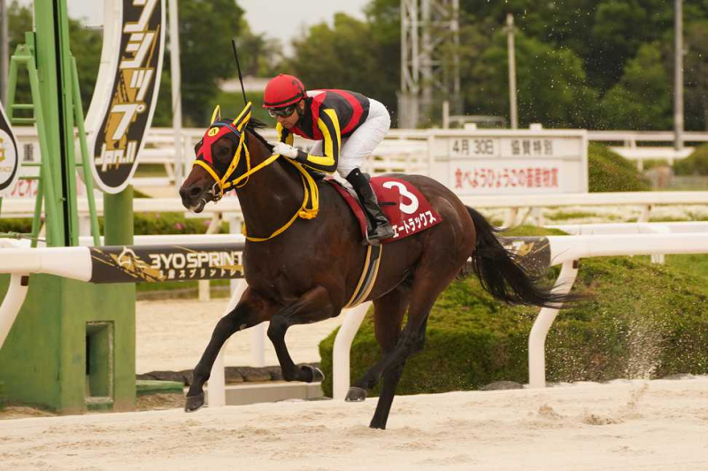 【門別・北海道スプリントカップ2024】選定馬（7/29）