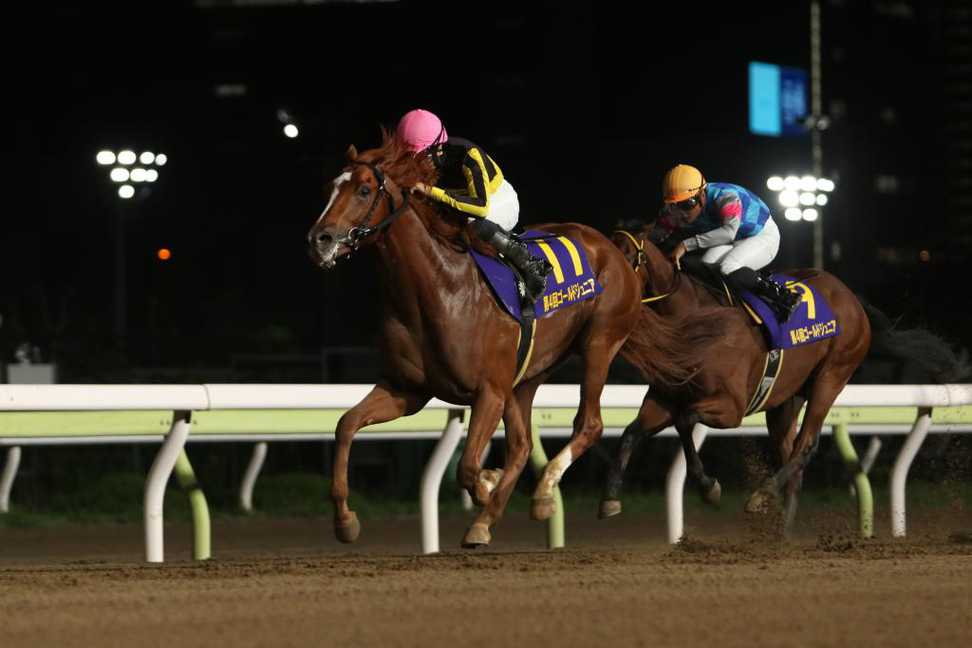 【ゴールドジュニア】クルマトラサンが２馬身差Ｖ！２歳戦線主役へ名乗り