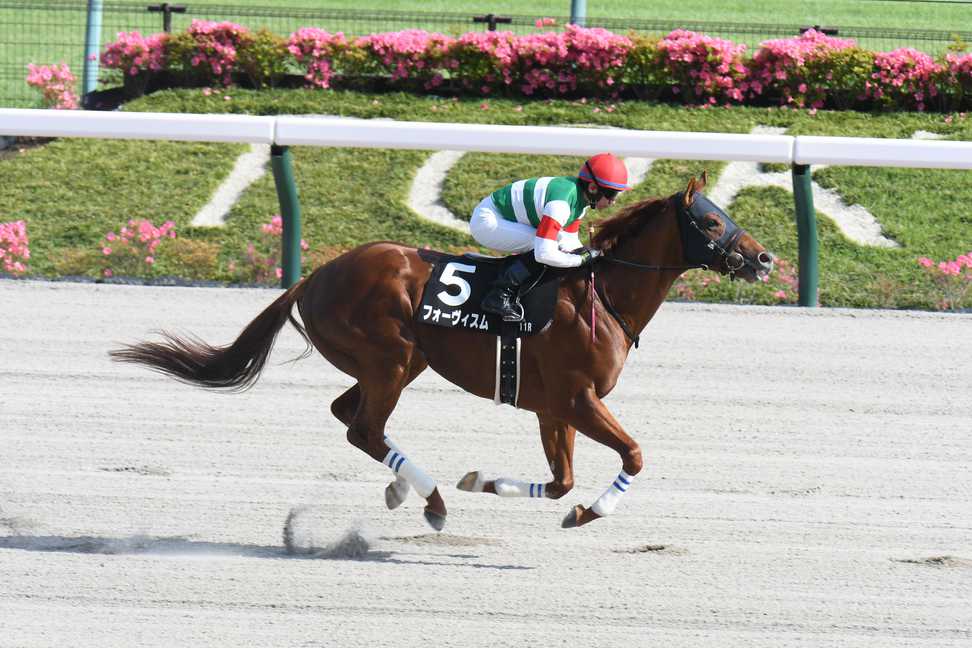 【京成盃グランドマイラーズ】垣見のビタ推し～フォーヴィスム存在感