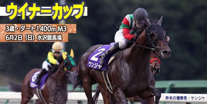 【水沢・ウイナーカップ2024】岩手競馬重賞みどころ