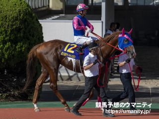 【佐賀・サマーチャンピオン2024】地方競馬スペシャリスト 斎藤修の選ぶ3頭「戦績からこのレースへの適性高い」