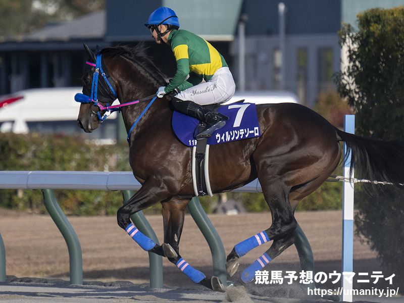 【佐賀・JBCクラシック2024】指数の女王 山崎エリカの選ぶ3頭「自在性のある脚質。3着は外さない」