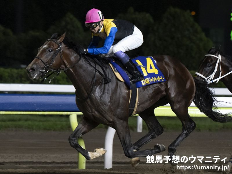 【名古屋・名古屋グランプリ2024】ズバリ！調教診断　併せ馬でいい動きのノットゥルノ