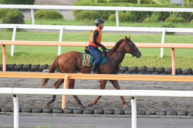 【園田・兵庫ジュニアグランプリ2024】コパノヴィンセントは5枠6番、コスモストームは8枠12番から発走