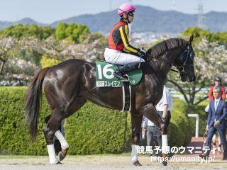 【浦和・テレ玉杯オーバルスプリント2024】地方ランク1位 夢月の選ぶ3頭「安定感も抜群で54キロの斤量魅力」