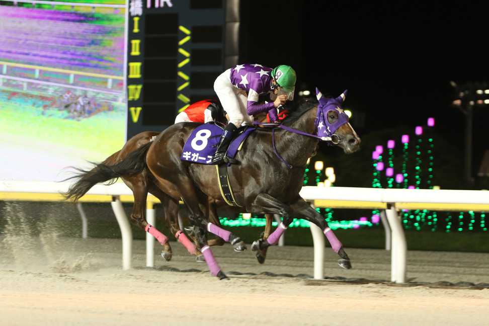 【サンスポ盃優駿スプリント】重賞３勝の実績馬ギガースが主役