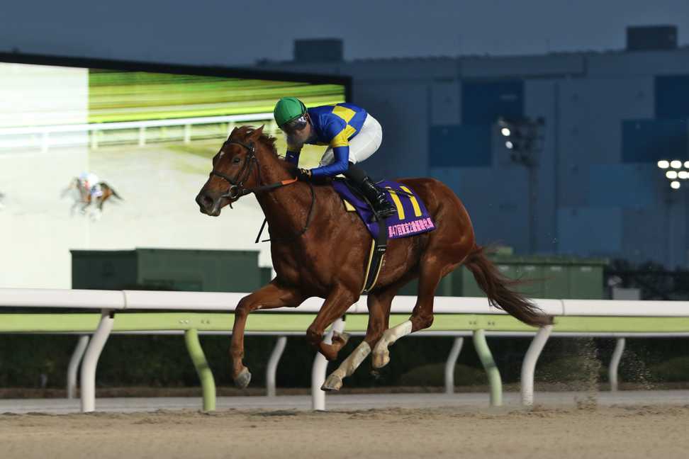 【東京２歳優駿牝馬】ローリエフレイバーが４連勝で重賞初制覇