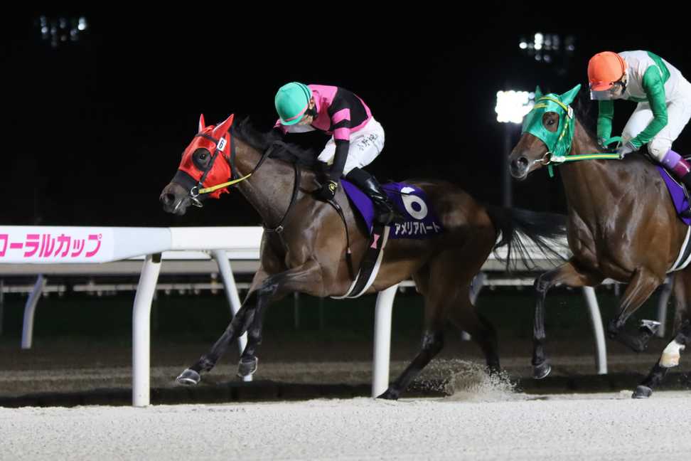 【川崎競馬取材班　必勝馬券コラム】ローレル賞