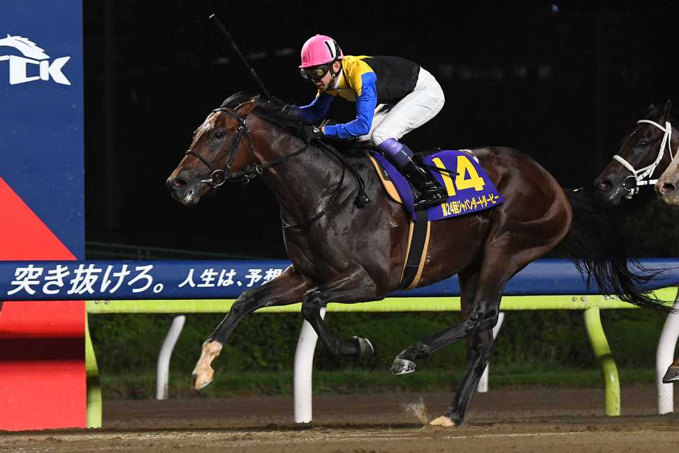 【日本テレビ盃】ＪＲＡ出走予定馬の発表