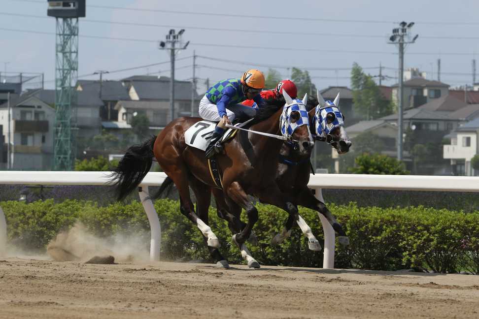 【ニューイヤーＣ】実力上位ライゾマティクスが重賞初Ｖだ