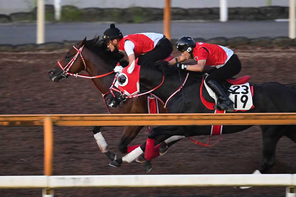 【ジャパンダートクラシック】フォーエバーヤングが3歳国内最強証明へ