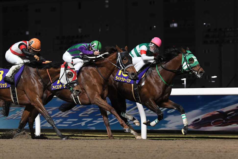 【浦和記念】コスダコレダ～ライトウォーリア浦和歓迎　重賞4勝中3勝マークの❽枠で反撃