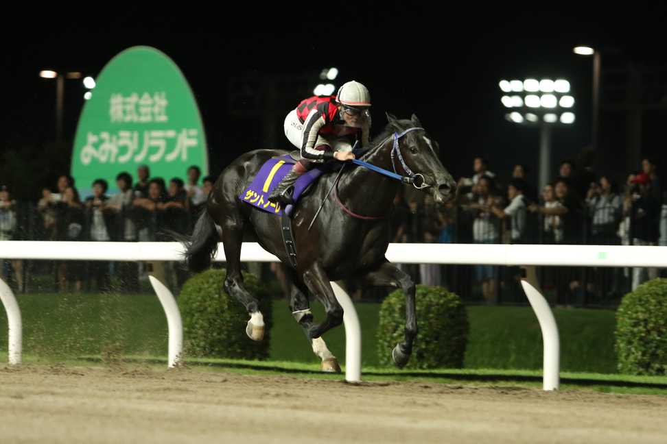 【サンスポ盃戸塚記念】サントノーレが6馬身差の圧勝で重賞3勝目！　笹川翼騎手「終わってみれば楽勝だった」