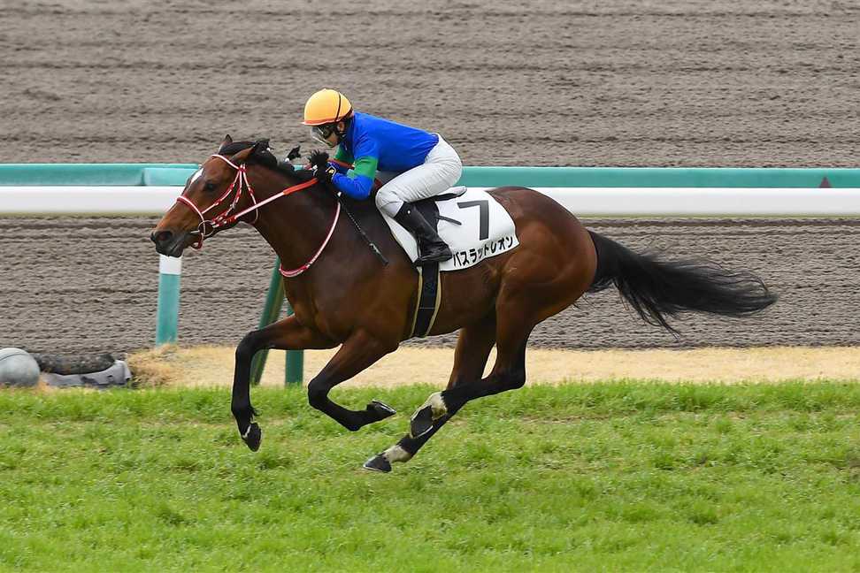 【JBCスプリント】バスラットレオンは古川奈穂騎手とのコンビで参戦