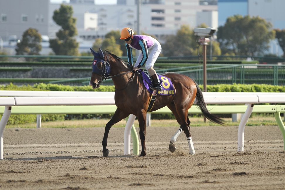 【１６日地方競馬厳選予想】イグナイターの押し切りに期待