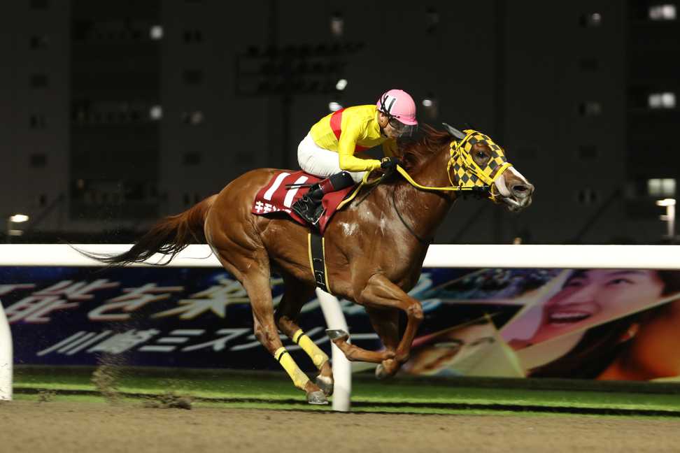 【川崎スパーキングスプリント】１番人気キモンルビーが３馬身差で重賞２勝目