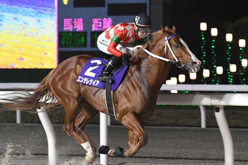 【サンスポ盃・船橋記念】エンテレケイアが人気に応えて4馬身差の快勝