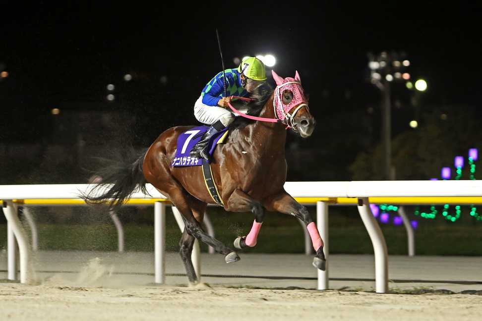 【埼玉新聞栄冠賞】南関同士ならナニハサテオキの能力が上