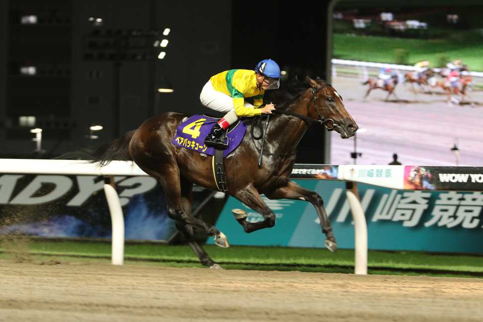 【川崎競馬取材班　必勝馬券コラム】鎌倉記念