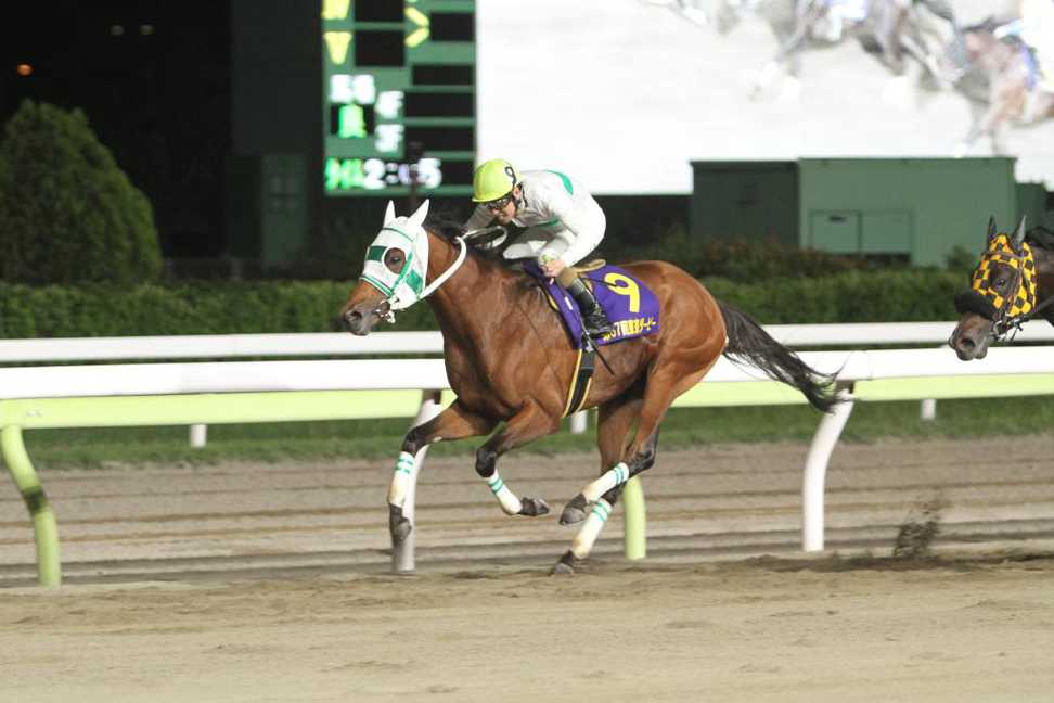 【京成盃グランドマイラーズ】陣営の思惑