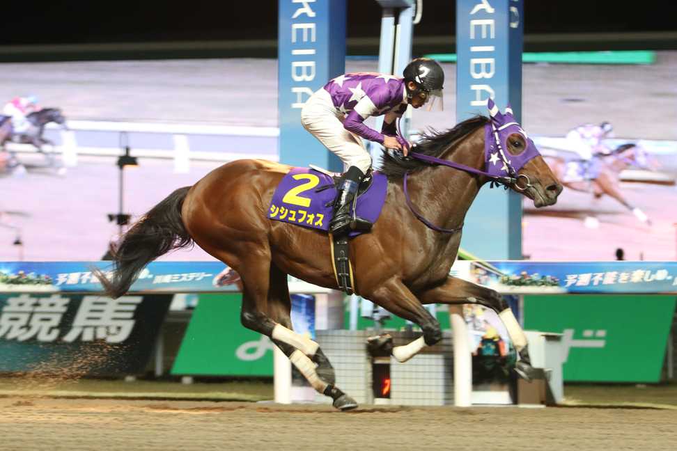 【川崎競馬取材班　必勝馬券コラム】サンケイスポーツ盃戸塚記念