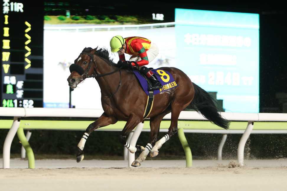 【勝島王冠】転入初戦のキングストンボーイが重賞初制覇