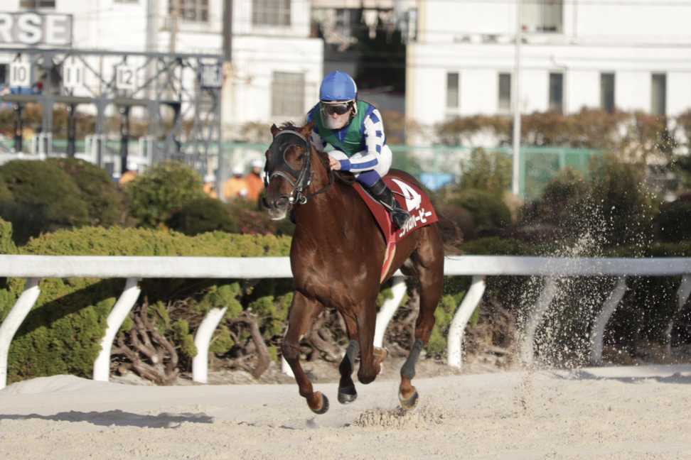 【川崎競馬取材班　必勝馬券コラム】ロジータ記念