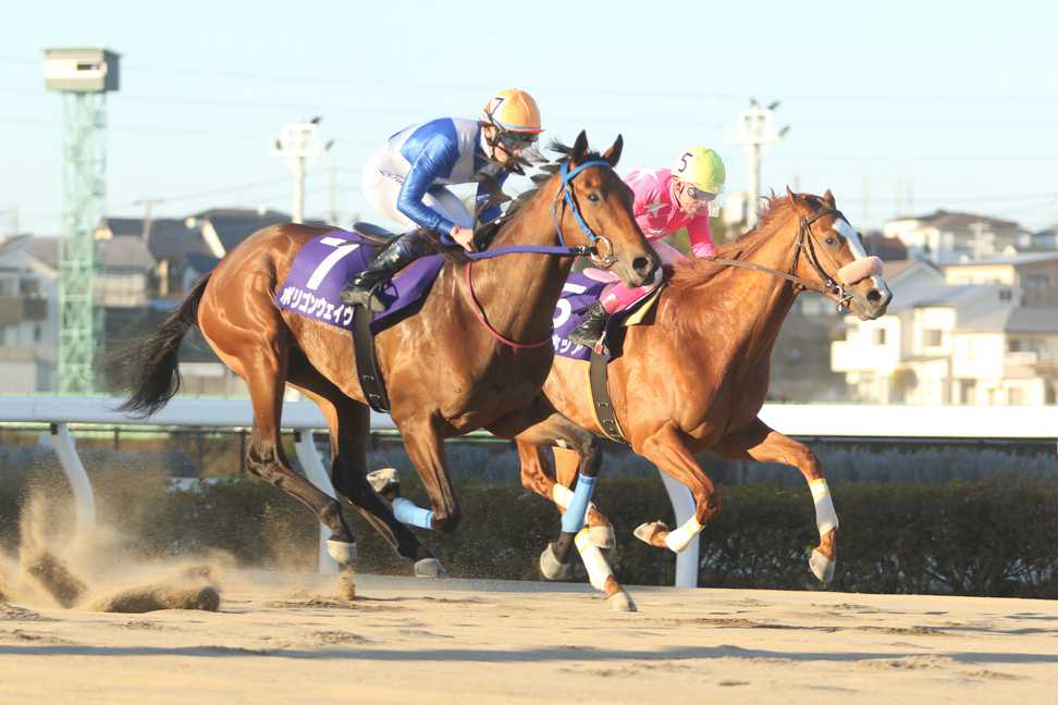 【前売・京浜盃】重賞連勝目指すポリゴンウェイヴ