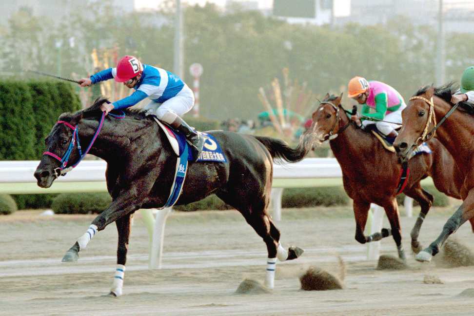 2001、02年NAR年度代表馬トーホウエンペラー死す　東京大賞典、南部杯に優勝