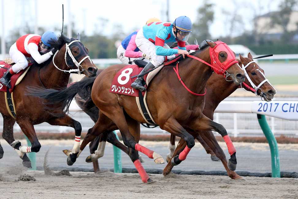 ダートの強豪グレンツェントが引退　中央＆南関東で重賞４勝