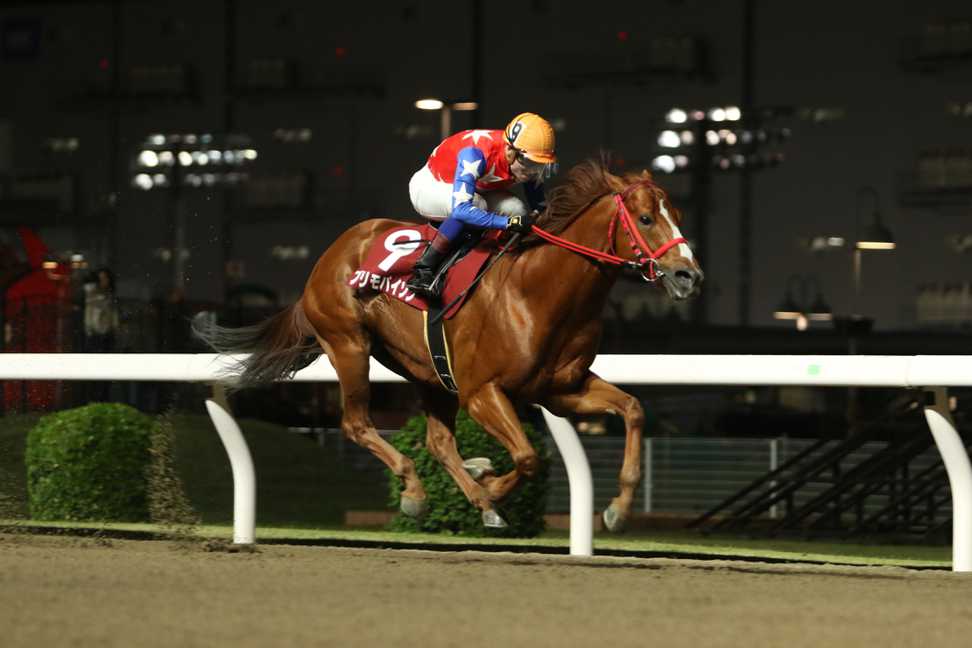 【川崎競馬取材班　必勝馬券コラム】川崎スパーキングスプリント