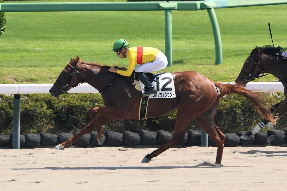 【兵庫ジュニアGP】陣営の思惑