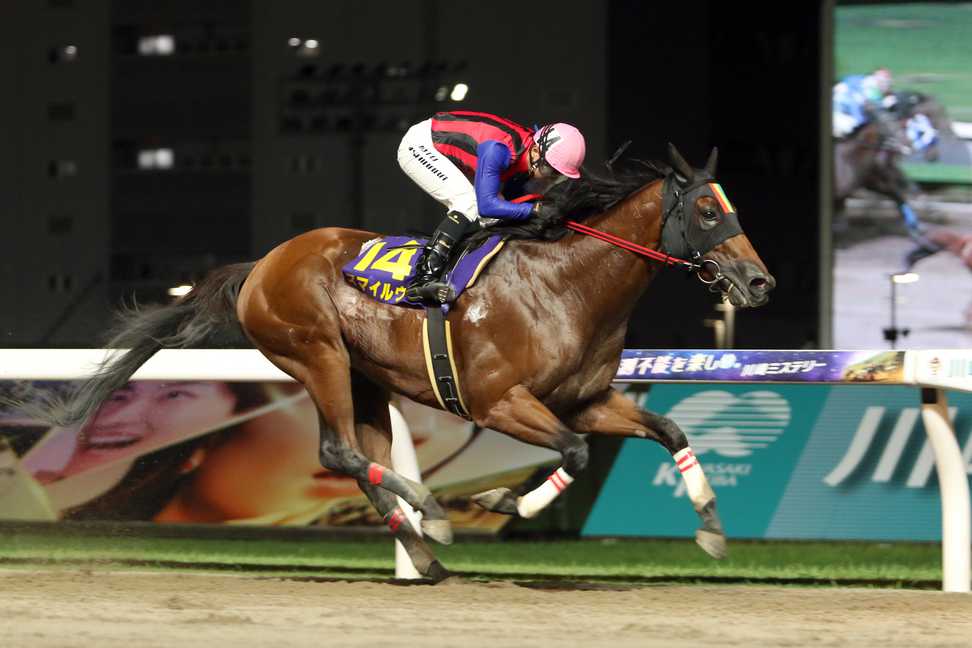 【川崎競馬取材班　必勝馬券コラム】スパーキングサマーカップ