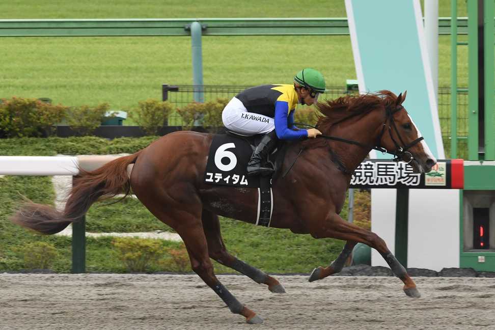 【前売・神奈川記念】上昇気配の大型馬ユティタムを狙う