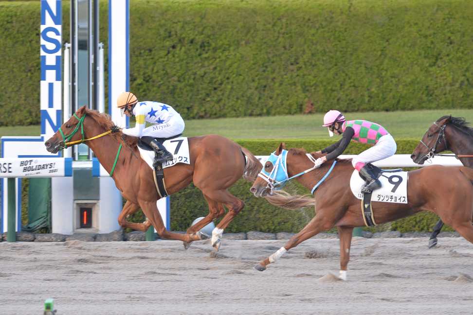 【川崎マイラーズ】コスダコレダ～④ムエックス今度こそ重賞初制覇だ