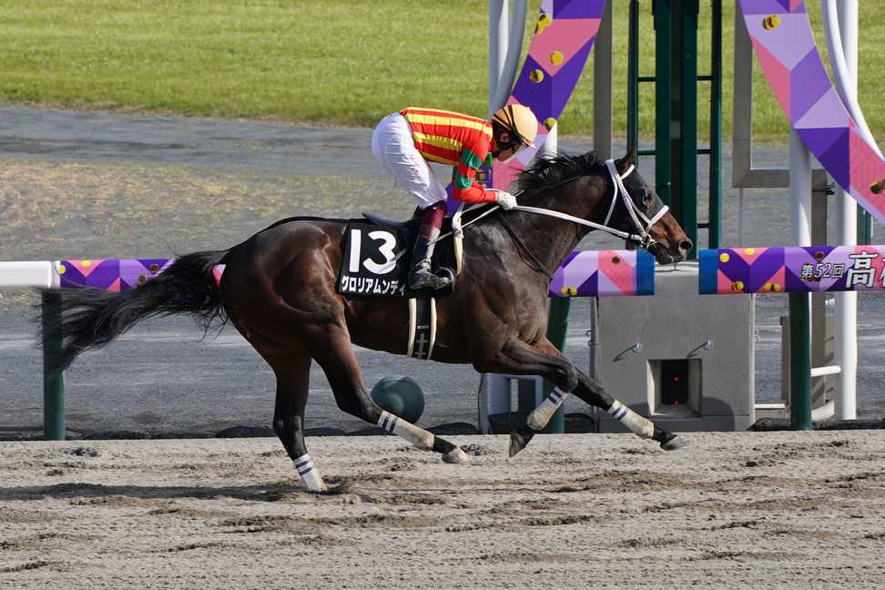 福永祐一騎手で参戦のグロリアムンディが東京大賞典を回避