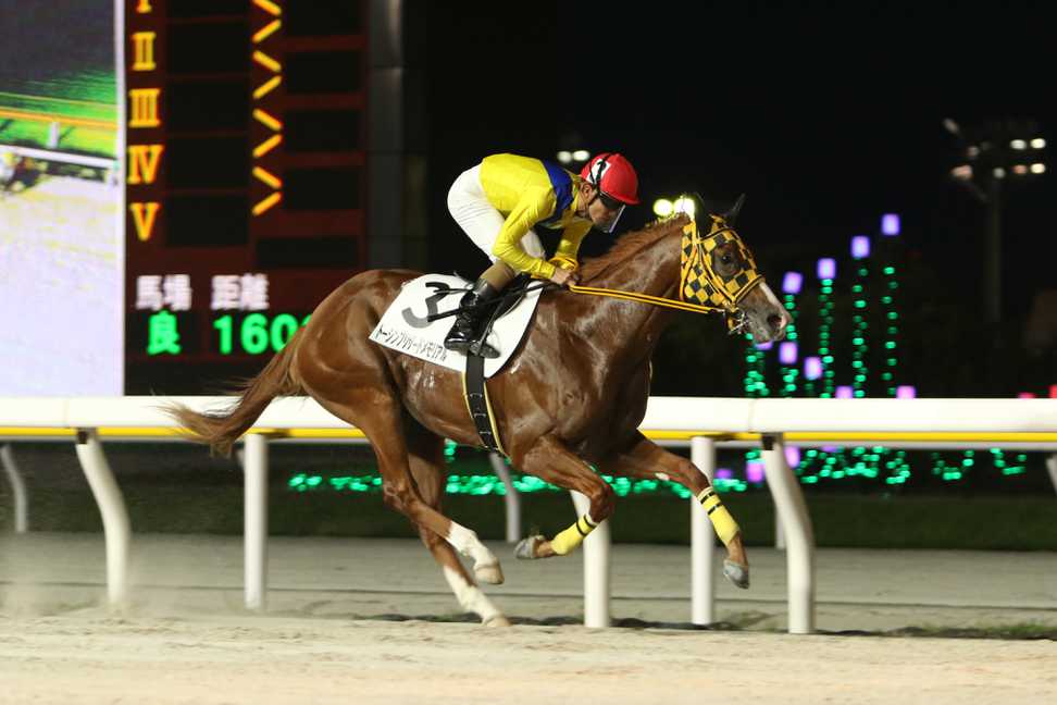 【平和賞】コスダコレダ～ただ一頭の船橋マイル勝利実績　⑥アッカーマン無傷の4連勝だ