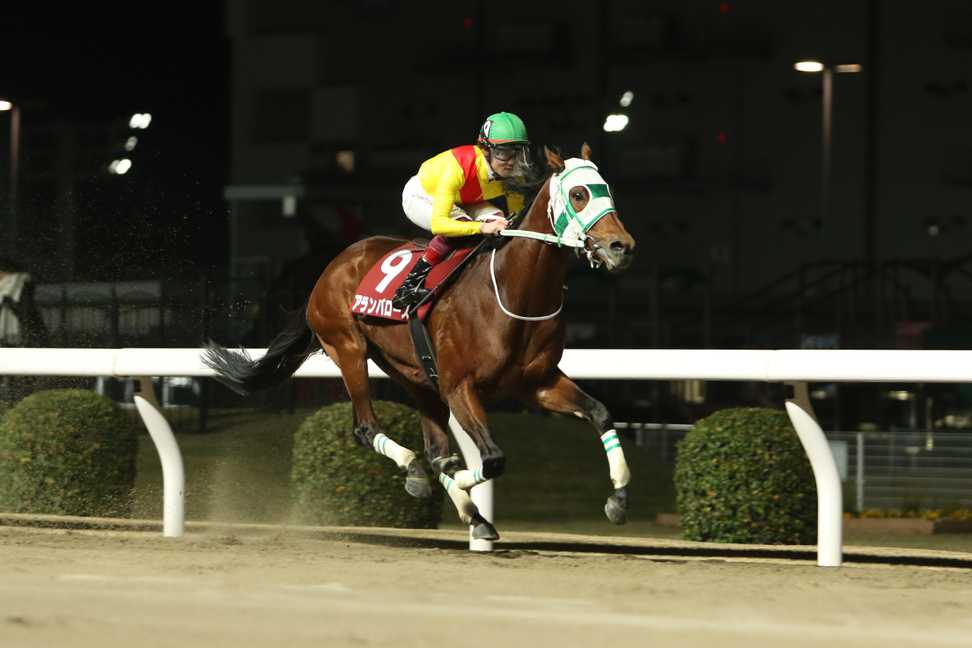 【川崎競馬取材班　必勝馬券コラム】川崎マイラーズ